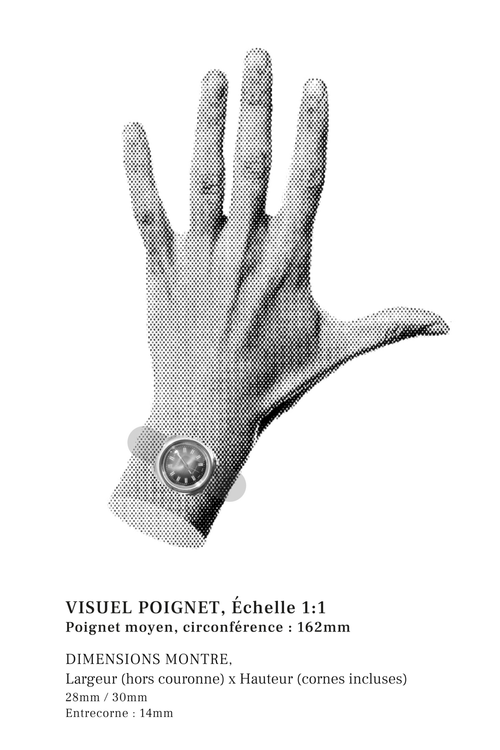 Thermidor, réf. TH 13