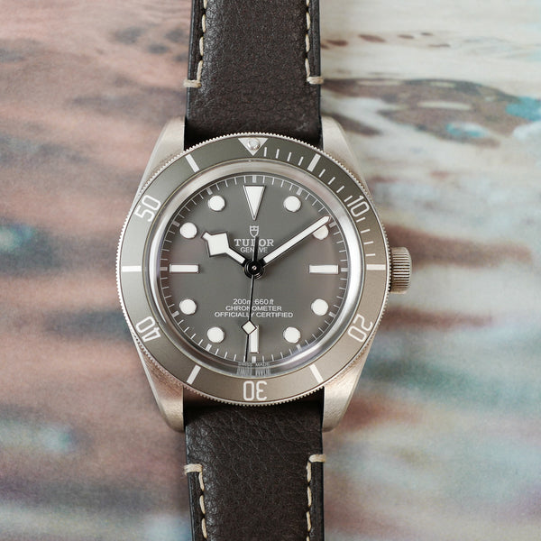 Tudor black bay 58 grise 79010sg full set