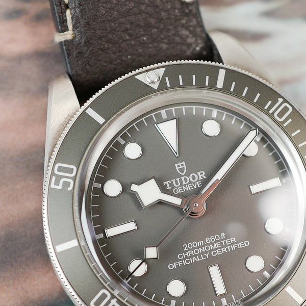 Tudor black bay 58 grise 79010sg full set