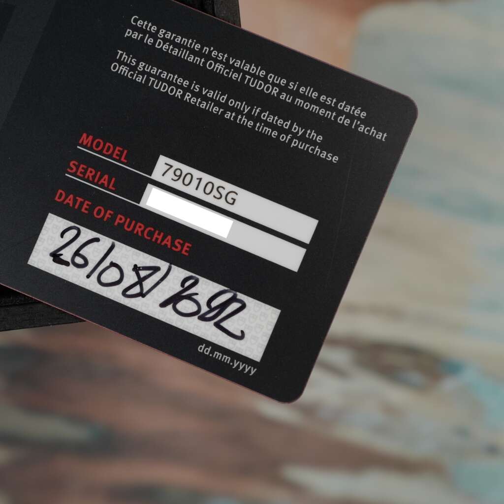 tudor-black-bay-58-grise-79010sg-full-set